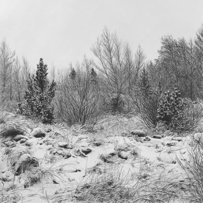 Black Pencil on paper. 90 x 90 cm. Avalaible.
