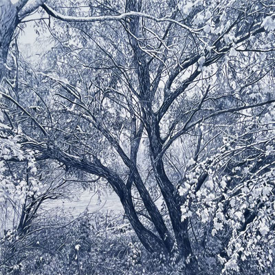 “Mi árbol favorito en Azul índigo”. 60 x 60 cm./ 86 x 86 cm. framed. Colored pencil on paper glued to aluminium dibond. Sold. Private collection.