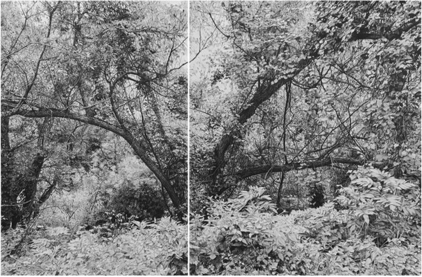 Black pencil on paper glued to aluminium dibond. Diptych. 200 x 130 cm. Sold. Private collection.