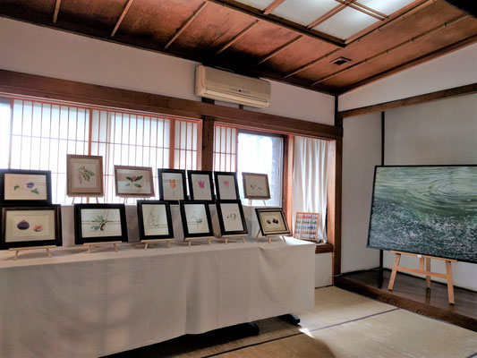 植物画は2段にして、たくさん飾りました。