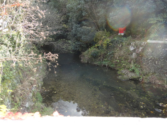 有田の川は水が綺麗でした