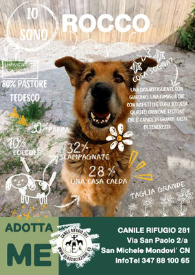 ROCCO ADOTTATO A DISTANZA DA DANIELA