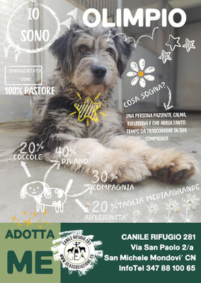 OLIMPIO ADOTTATO A DISTANZA DA TIZIANA
