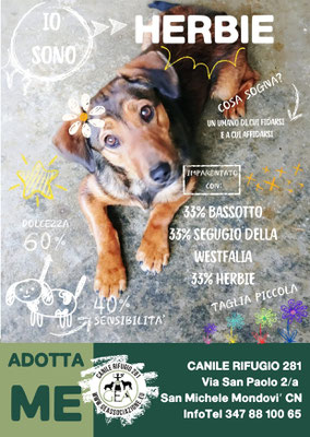 HERBIE ADOTTATO A DISTANZA DA CLAUDIA