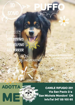 PUFFO ADOTTATO A DISTANZA DA SILVIA