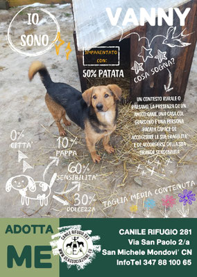 VANNY ADOTTATO A DISTANZA DA  MONICA