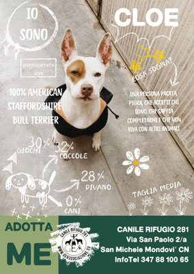 CLOE ADOTTATA A DISTANZA DA MICHELA 