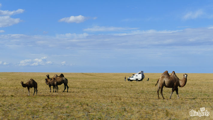 Wildcamp, Kasachstan