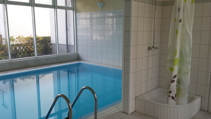 Pool mit Gegenstromanlage und Dusche