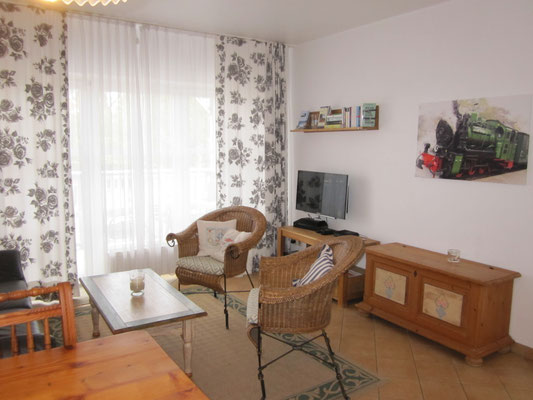 Wohnzimmer mit DVD und WLAN