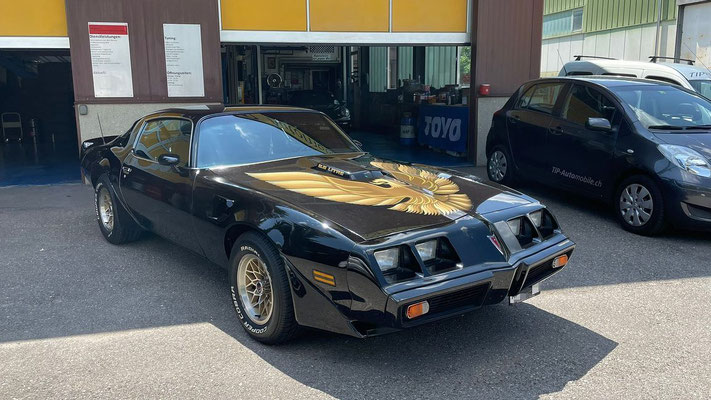 Pontiac Firebird 6,6 Trans-AM👌🏻😎