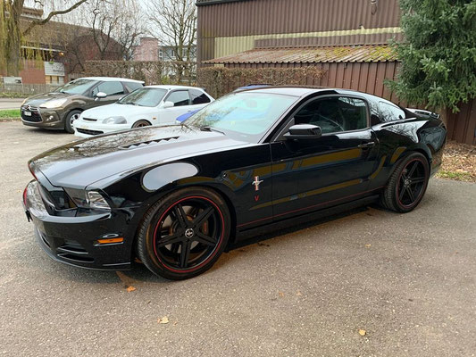 Ford Mustang GT 5.0 ab Service und MFK.😎