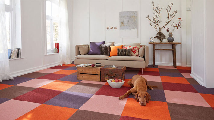 ©tretford Teppich eignen sich auch für Haushalte mit Hunden