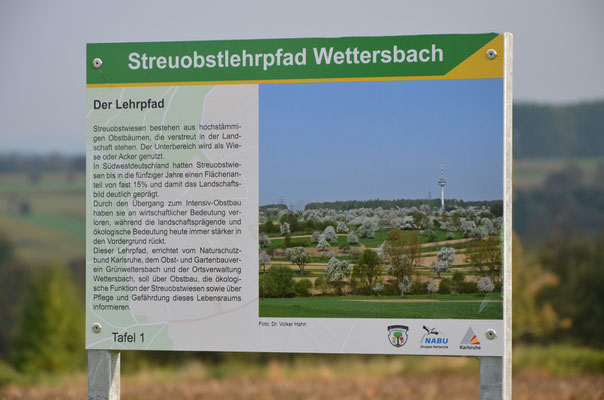 Foto: A. Bossert
