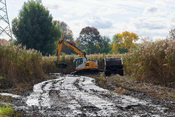 Moorkettenbagger im Einsatz