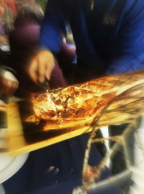 Flammlachs bei sports-outdoorguide.de