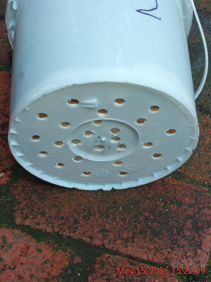Bottom of Bucket #2 - plenty of drilled drainage holes->7.6L ss stockpot for water collection then pasteurization if needed on a TLUD stove