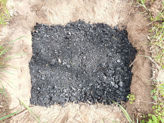 40 litres of medium crushed biochar in a Zai pit