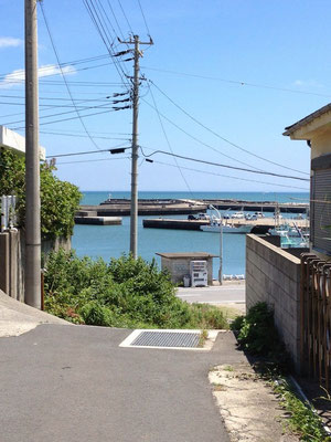 蝉時雨の海水浴場への坂道