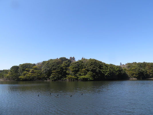 いすみ岬には水辺が多いのです