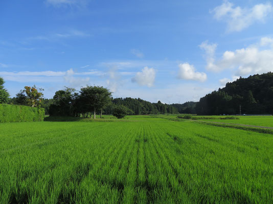 日本の原風景