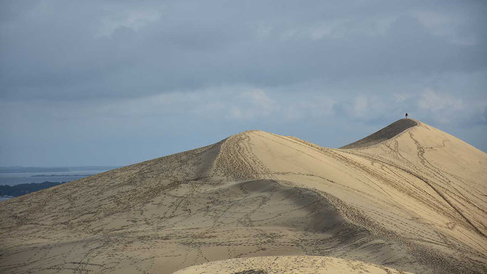 Sandduene, Dune de Pilat, Frankreich, flowfly.photo