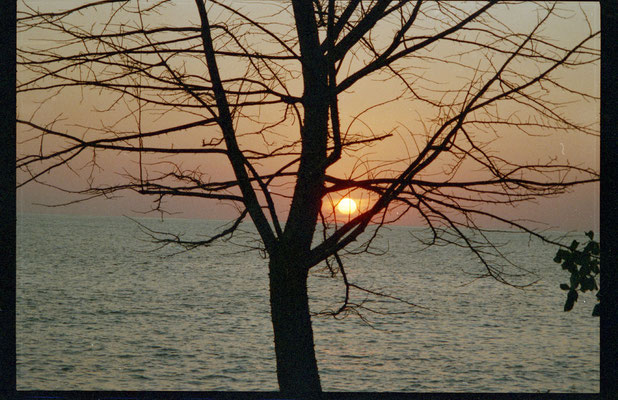 Atardecer en Malpaís, Pacífico costarricense (diapositiva escaneada)