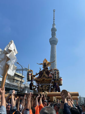 〈U23_059〉ぺったんさん：牛嶋神社大祭<br>撮影日：2023年9月17日<br>場所：墨田区<br>スカイツリーをバックに大神輿連合渡御