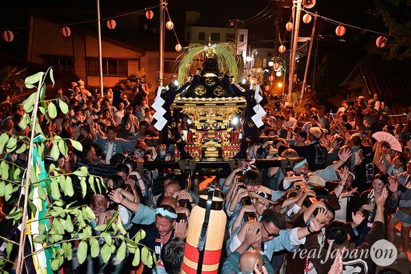 〈八重垣神社祇園祭〉神社神輿環御：下出羽区 2025.08.05