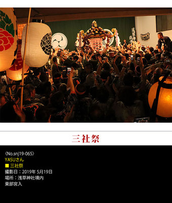YASUさん：三社祭 ,2019年5月19日,浅草神社境内