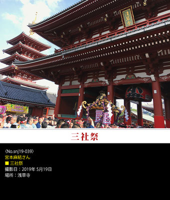 宮本麻結さん：三社祭 ,2019年5月19日