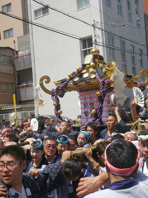 本社神輿二之宮･(南部) 町内渡御〈駒形〉＠2017.05.21 (snj17-084)t