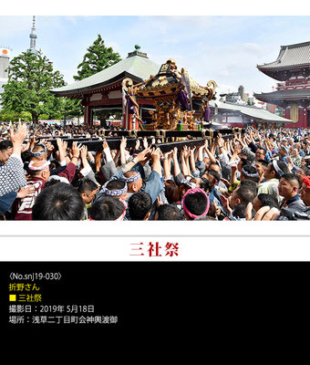 折野さん：三社祭 ,2019年5月18日,浅草二丁目