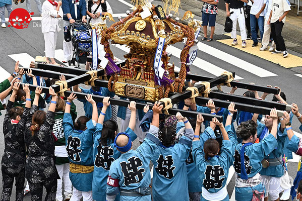 〈八重垣神社祇園祭〉女神連合輿渡御：仲町区 @2022.08.04