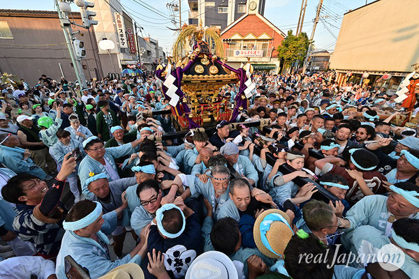 〈八重垣神社祇園祭〉神社神輿環御：下出羽区 2025.08.05
