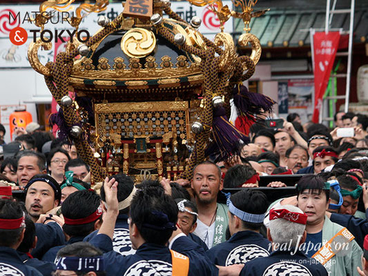 〈神田祭 2017.5.14〉神田佐久間町四丁目町会 ©real Japan'on -knd17-036