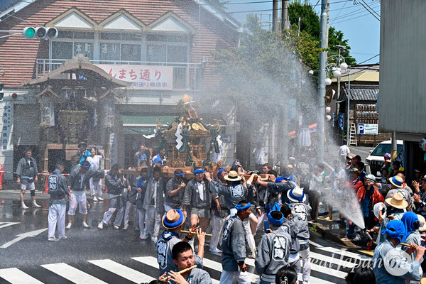 〈八重垣神社祇園祭〉十町神輿連合渡御：横町区 @2024.08.05