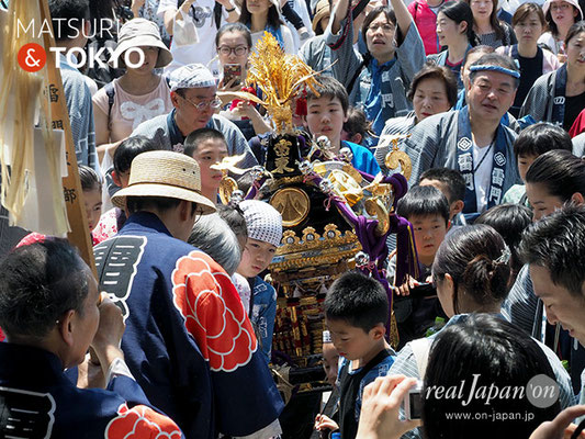 町内神輿連合渡御〈雷門東部〉子供神輿 @2017.05.20 (snj17-035)　ⓒm.kataoka