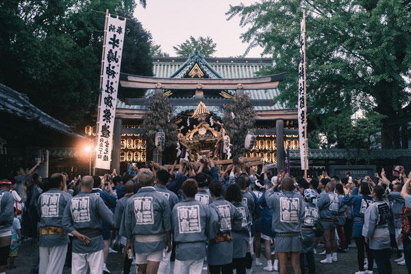 〈U23_019〉水谷智哉さん：牛嶋神社大祭<br>撮影日：2023年9月17日<br>場所：牛嶋神社