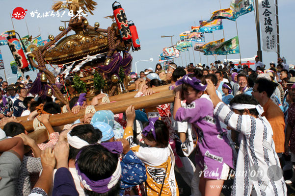 〈羽田まつり・各町神輿連合渡御〉中村祭友會