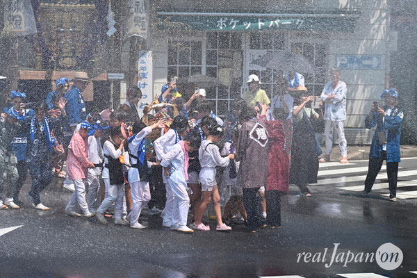 〈八重垣神社祇園祭〉十町神輿連合渡御：東本町区 @2024.08.05
