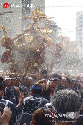 〈富岡八幡宮例大祭〉神輿連合渡御　三十五番: 下木場 ＠2014.08.17