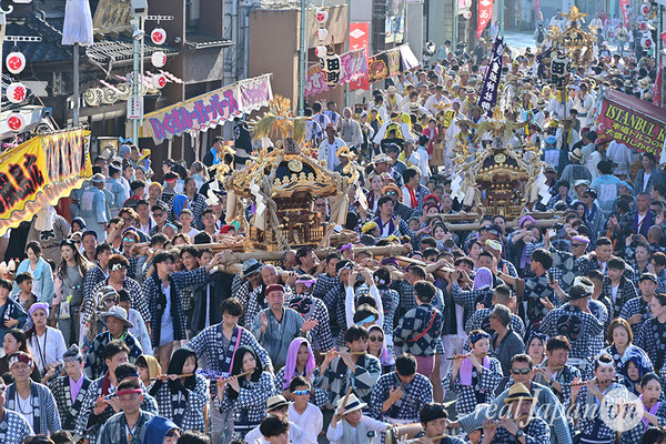 〈八重垣神社祇園祭〉十町神輿連合渡御：萬町区 2025.08.05