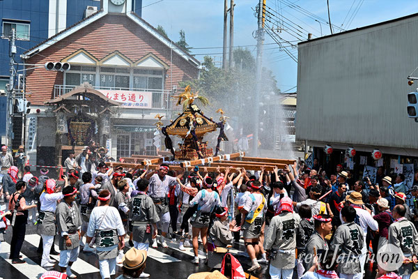 〈八重垣神社祇園祭〉十町神輿連合渡御：西本町区 @2024.08.05