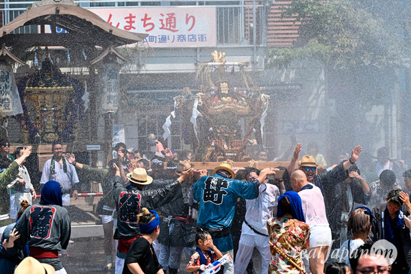 〈八重垣神社祇園祭〉十町神輿連合渡御：仲町区 @2024.08.05