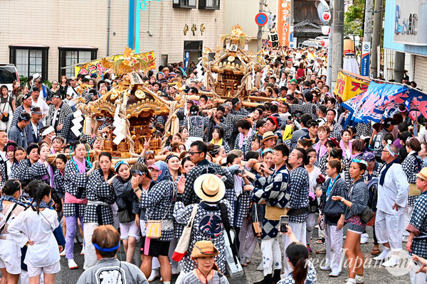〈八重垣神社祇園祭〉十町神輿連合宮入渡御：萬町区 @2024.08.05