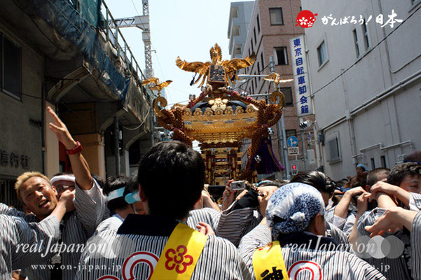 湯島天満宮例大祭〈三組弥生会〉＠2012.05.27