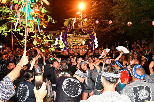 〈八重垣神社祇園祭〉神輿環御宮入：上出羽区 @2024.08.05