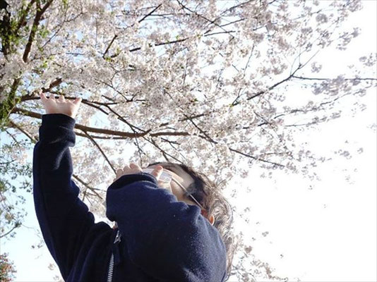 ＜s20-171＞green_peas_さん：また来年／4月8日（水）／神奈川県 深見神社