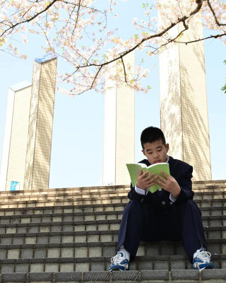 〈s20-121〉satogawa.9carpさん：入学式の代わりに／4月／東京都